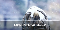 Monumental Snow