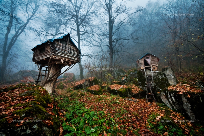 Հայկական բնապատկերներ. Իջևան, Լաստիվեր