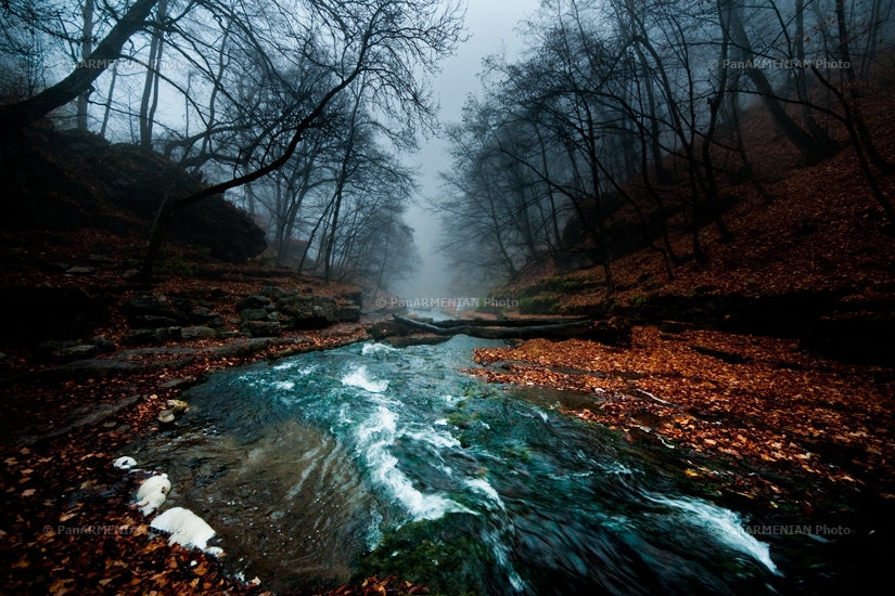 Հայկական բնապատկերներ. Իջևան, Լաստիվեր