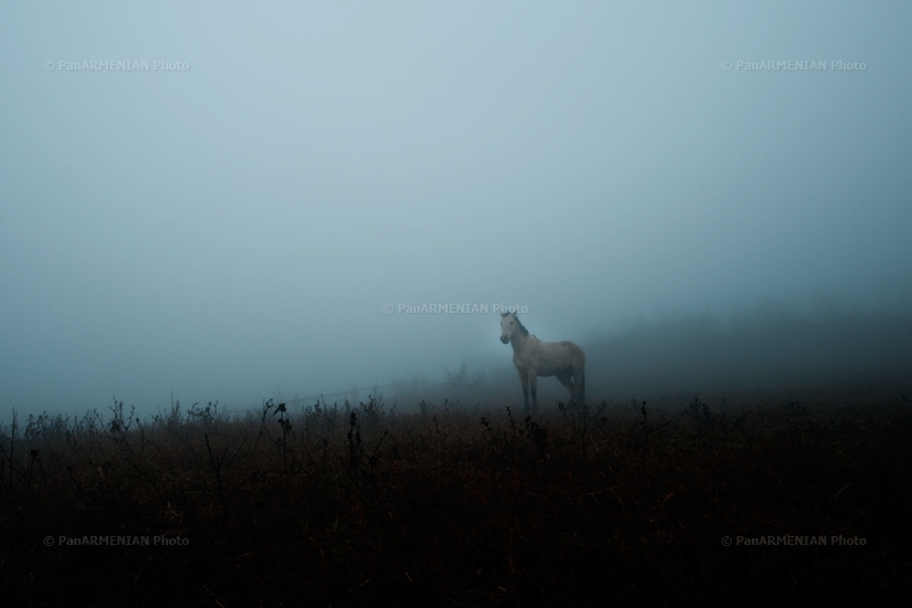 Հայկական բնապատկերներ. Իջևան, Լաստիվեր
