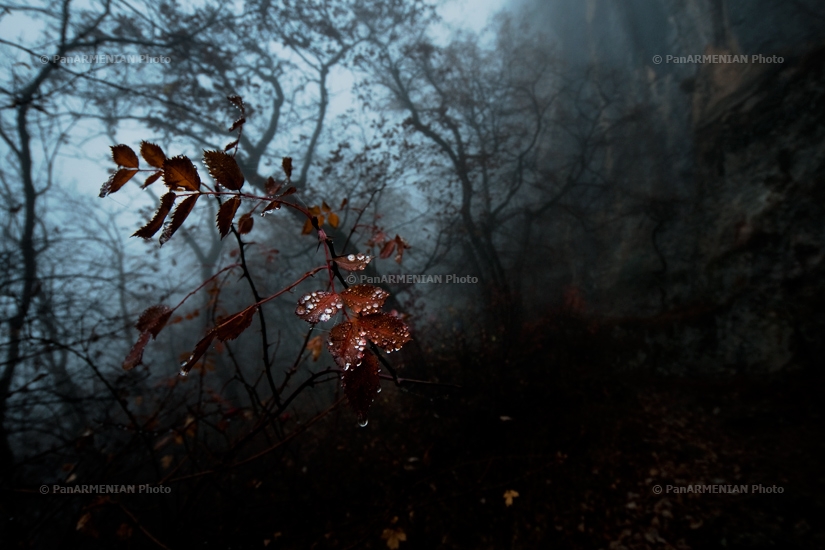 Հայկական բնապատկերներ. Իջևան, Լաստիվեր