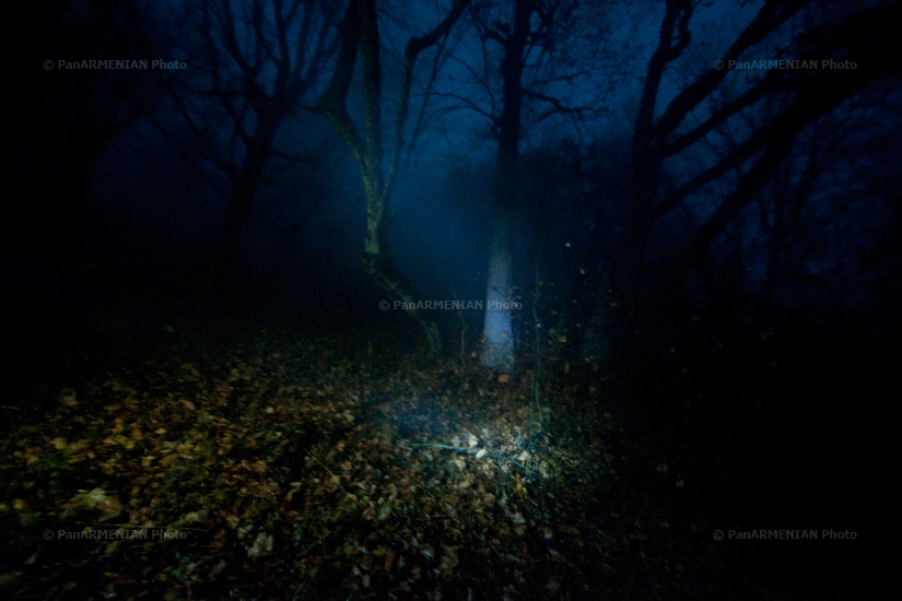 Հայկական բնապատկերներ. Իջևան, Լաստիվեր