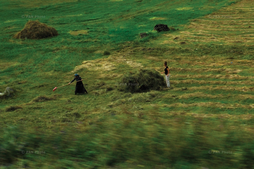 Women cutting grass, Kars, Western Armenia. It is common to see women performing tasks of hard labor in the fields, while the city’s tea houses are filled with men
