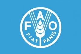 FAO: global food prices fell in April to lowest since 2010