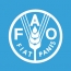 FAO: global food prices fell in April to lowest since 2010