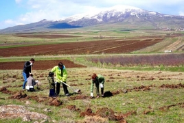 Another 58,200 trees planted by Armenia Tree Project