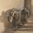 Italian masters drawings on view at Cantor Arts Center