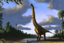 Обнаружены останки древнейшего динозавра в Британии