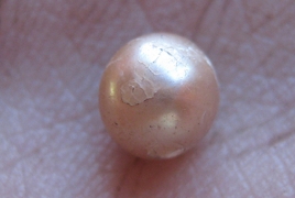 Australian scientists uncover 2,000-year-old natural sea pearl