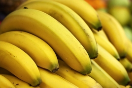 Биологи бьют тревогу: Опасный грибок угрожает бананам вымиранием