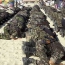 Հալեպում ձերբակալված ահաբեկիչները ռազմական պատրաստություն են անցել Թուրքիայում