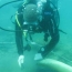 Затонувший 500 лет назад корабль может стать подводным археологическим музеем