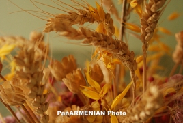 За 7 месяцев 2015 года сфера сельского хозяйства Армении выросла на 14,8%