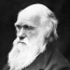 Charles Darwin’s Bible-rejecting letter to go on auction