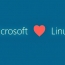 Microsoft планирует выпустить собственный дистрибутив операционной системы Linux