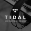 Jay Z's Tidal goes platinum with 1 million users