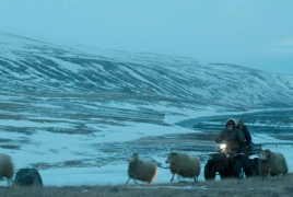 Iceland’s “Rams” among Zurich Film Festival winners