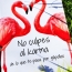 Zeta Cinema, Clara Lago, Sony team for bestseller-based comedy “Karma”