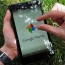 Google Photos automatically deletes backed-up photos to save space