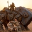 “Star Wars: The Force Awakens” makes Visual Effects Oscar shortlist