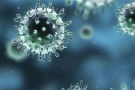 H1N1 swine flu death toll rises to seven in Armenia