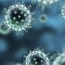 В Армении зафиксирован седьмой случай летального исхода в результате «свиного гриппа»