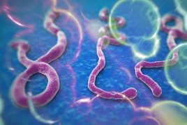 New Ebola case emerges in Sierra Leone