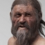 Iceman's gut microbes shed light on human migration: scientists