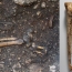 Austrian archeologists find 1,500-year-old wooden foot