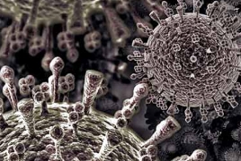 От «свиного гриппа» в Армении скончалось еще два человека: В целом жертвой вируса стали 18 человек