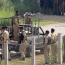 Pakistan university attackers pledge to target schools in new video