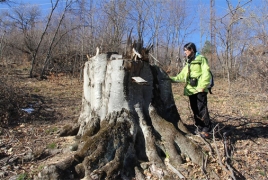 «Դիլիջան» ազգային պարկն անտառխախտման 9 դեպք է հայտնաբերել  2 ամսում