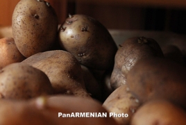 В январе 2016 года продовольственные товары в Армении подорожали на 5%