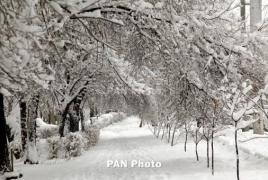 Heavy snowfall leaves thousands without electricity in Czech Republic