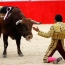 Thousands of Spaniards rally in favor of bullfighting traditions