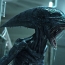 Ridley Scott‘s “Alien: Covenant” unveils 1st look