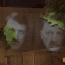 Հիտլերին և Էրդողանին նմանեցնող պատկերներ՝ Բեռլինում Թուրքիայի դեսպանատան պատին