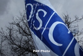 OSCE mulls armed police mission in Ukraine