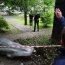 В Москве обезглавили памятник Ленину