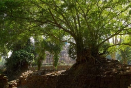 Археологи обнаружили в джунглях Камбоджи затерянные средневековые города