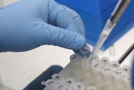 Экспериментальные вакцины американских ученых от вируса Зика сработали на мышах