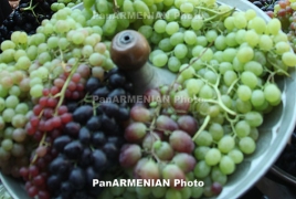 Эспорт армянского винограда в РФ может увеличиться несмотря на отмену антитурецких санкций