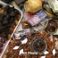 Հայաստանում առաջին անգամ անցկացվեց Choco Fest շոկոլադի փառատոնը