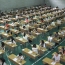 Вступительные экзамены в Азербайджане планируют сделать платными