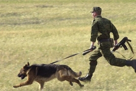На российской военной базе в Армении проходят занятия минно-розыскной службы со  служебными собаками