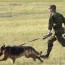 На российской военной базе в Армении проходят занятия минно-розыскной службы со  служебными собаками