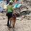 В итальянском городе Аматриче жертвами землетрясения стали 14 человек