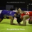 Armenian wrestler wins bronze at Junior World Championships