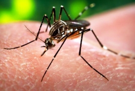 Growing spread of Zika