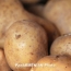 Армения экспортирует 50-80 тысяч тонн картофеля в 2016 году